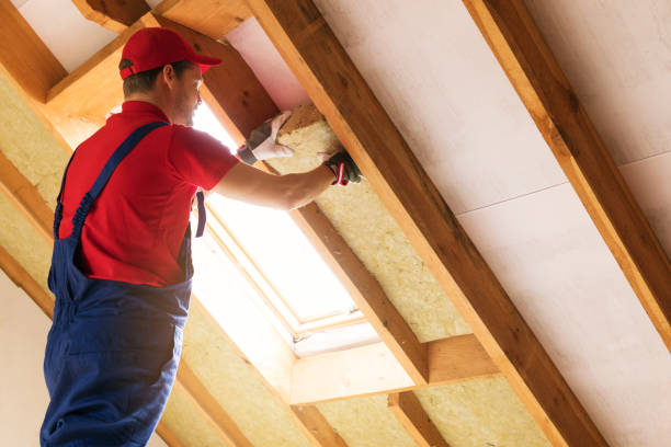 Best Attic Insulation Installation  in Farmland, IN